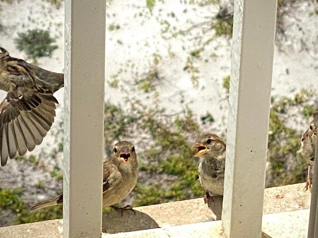 1100 E Highway 98 C703, Destin, FL 32541