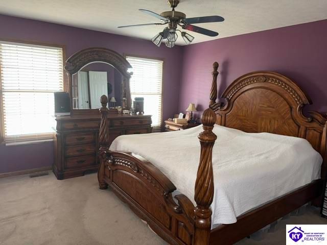 116 Creekview Lane, Rineyville, KY 40162