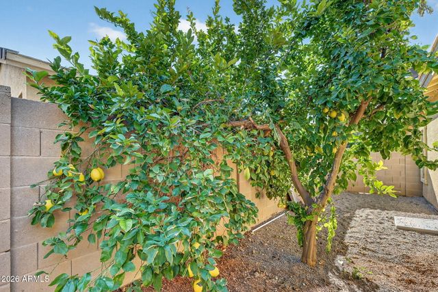 4212 E Washington Court, Gilbert, AZ 85234