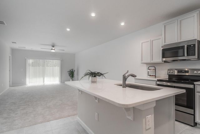 17897 TURNING LEAF CIRCLE, Land O Lakes, FL 34638