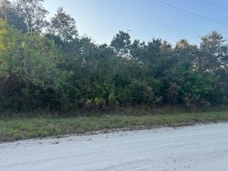 375 Carole Rd, Lake Placid, FL 33852