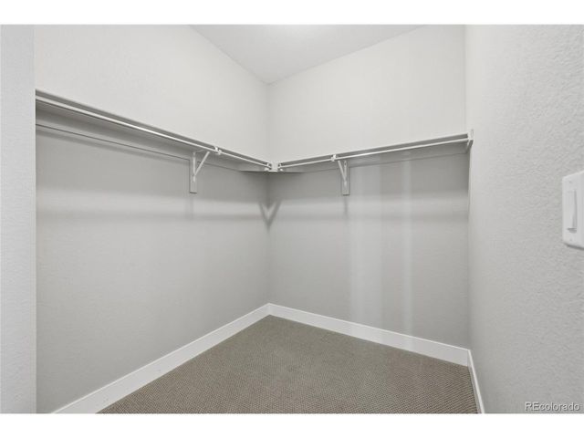 7039 Homeplace St, Castle Rock, CO 80108