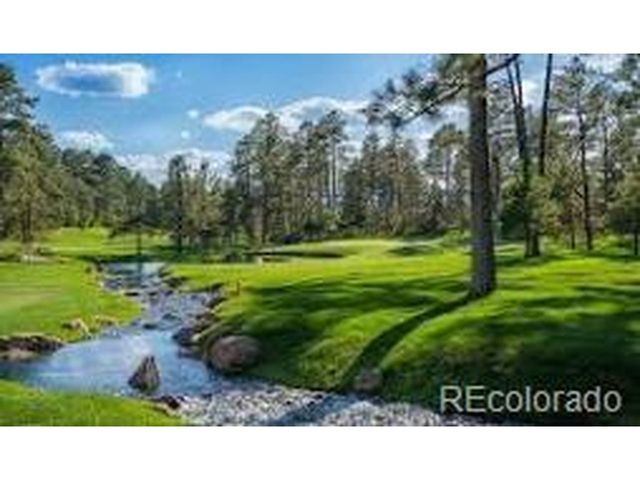 7039 Homeplace St, Castle Rock, CO 80108