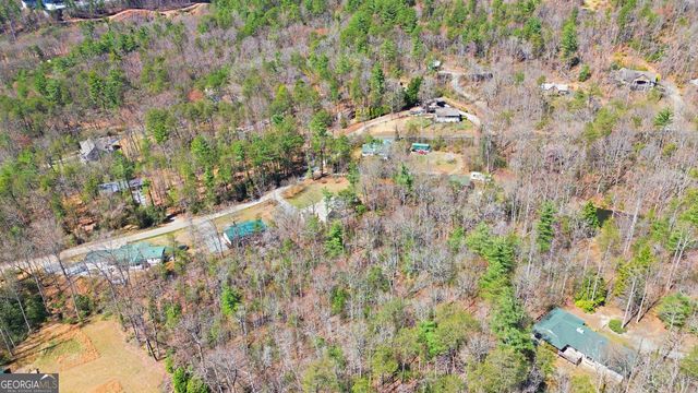 45 Blanche Place Road, Clayton, GA 30525