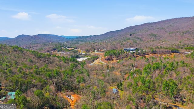 45 Blanche Place Road, Clayton, GA 30525