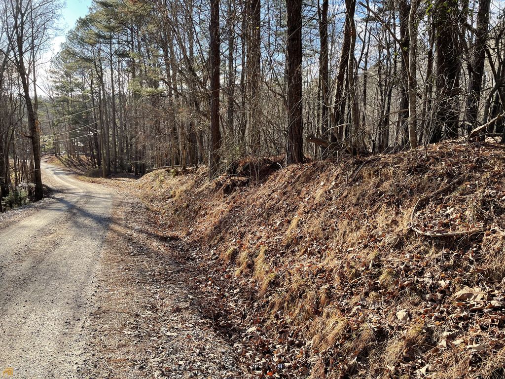 2458 Montage Drive # 112, Ellijay, GA 30540