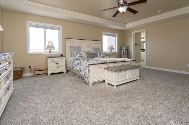 6522 Lynch Lane, Castle Rock, CO 80108