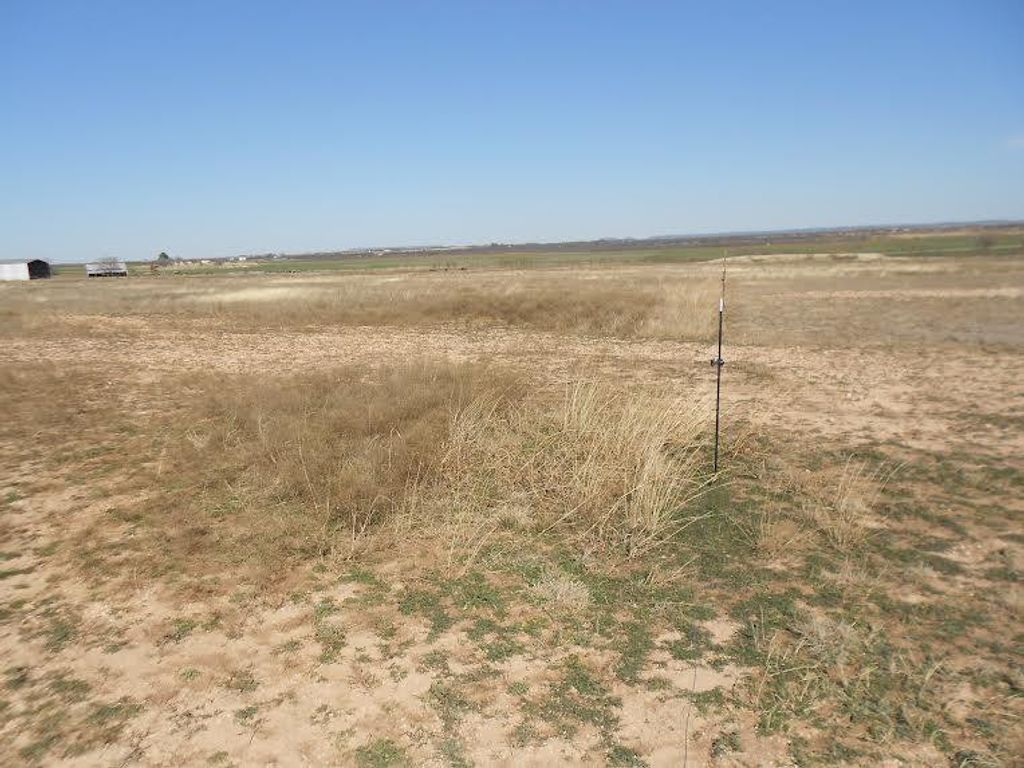 Image 6 of property listing at 119 County Rd 351, Winters, TX 79567