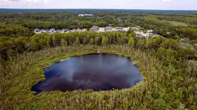 11468 WEAVER HOLLOW ROAD, New Port Richey, FL 34654