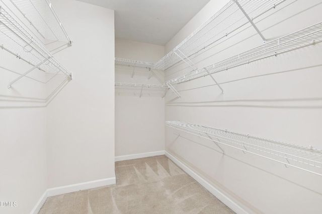 807 Swan Neck Lane, Raleigh, NC 27615