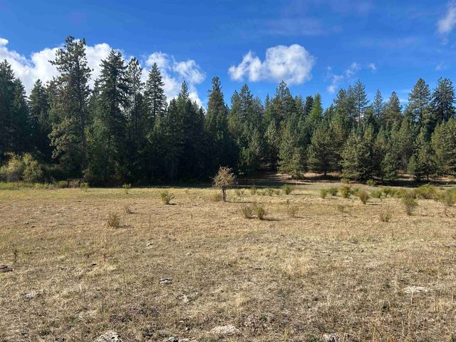 47161.0305 N Northwood Dr, Mead, WA 99021