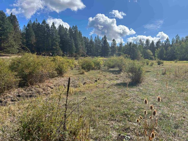 47161.0305 N Northwood Dr, Mead, WA 99021