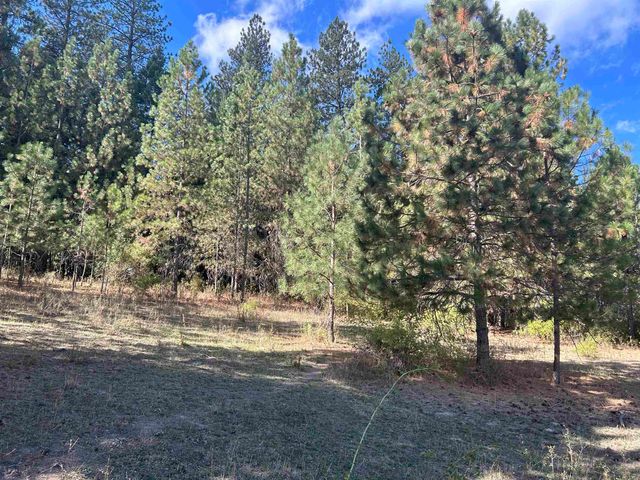 47161.0305 N Northwood Dr, Mead, WA 99021