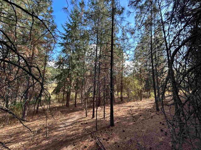 47161.0305 N Northwood Dr, Mead, WA 99021