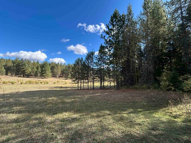 47161.0305 N Northwood Dr, Mead, WA 99021