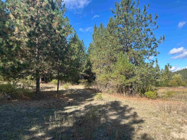 47161.0305 N Northwood Dr, Mead, WA 99021