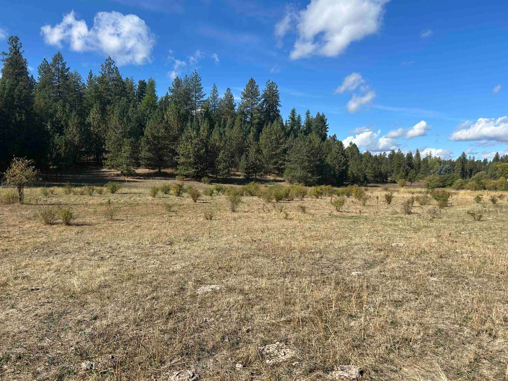 47161.0305 N Northwood Dr, Mead, WA 99021