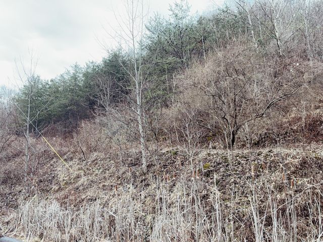 106 Honda Lane, Flat Lick, KY 40935