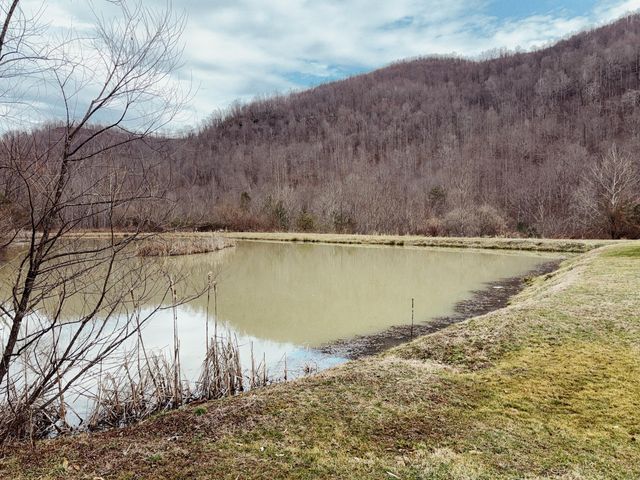 106 Honda Lane, Flat Lick, KY 40935