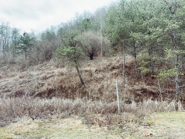 106 Honda Lane, Flat Lick, KY 40935