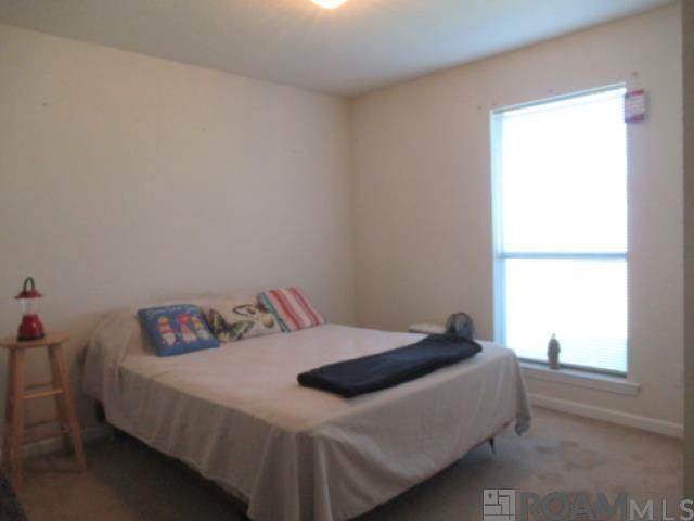 12727 Bonnie Bleu Dr, Denham Springs, LA 70726