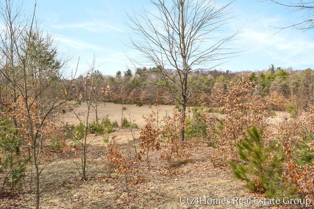 1695 160th Avenue, Deerfield Twp, MI 49336