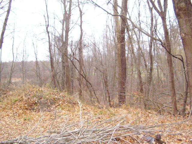 7781 W Hagar Shore Road, Coloma, MI 49038