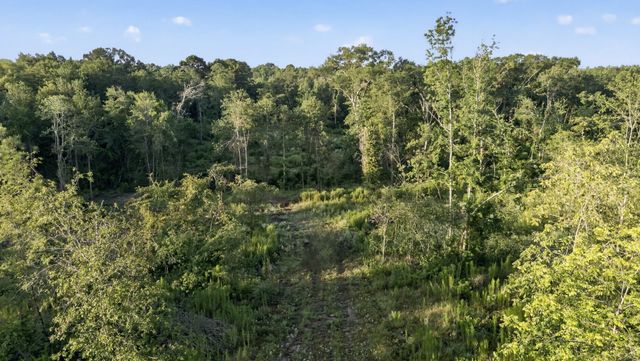 TBD 21 Acres CR 3116, Winona, TX 75792
