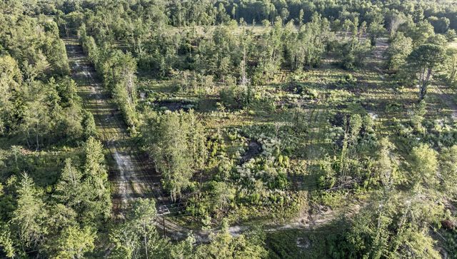 TBD 21 Acres CR 3116, Winona, TX 75792