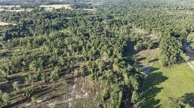 TBD 21 Acres CR 3116, Winona, TX 75792