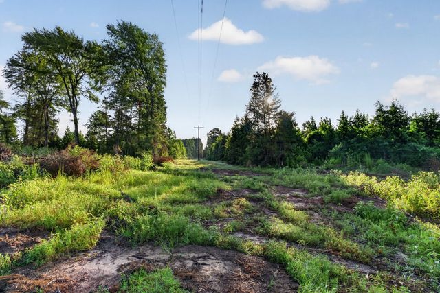 TBD 21 Acres CR 3116, Winona, TX 75792