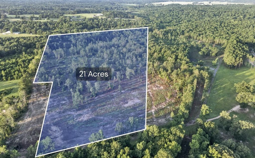 TBD 21 Acres CR 3116, Winona, TX 75792