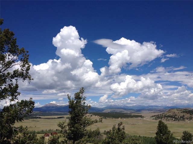 105 Ladigo Lane, Hartsel, CO 80449