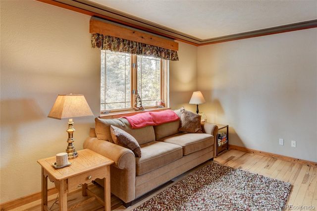 105 Ladigo Lane, Hartsel, CO 80449