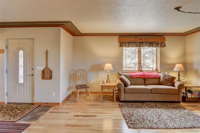 105 Ladigo Lane, Hartsel, CO 80449