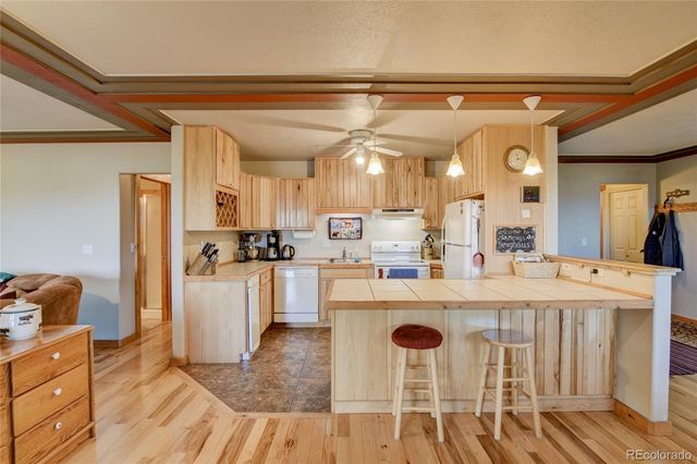 105 Ladigo Lane, Hartsel, CO 80449