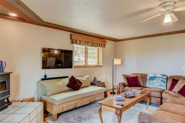 105 Ladigo Lane, Hartsel, CO 80449