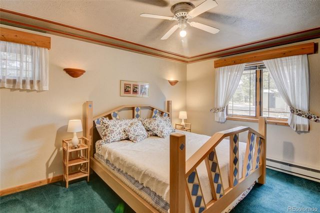 105 Ladigo Lane, Hartsel, CO 80449