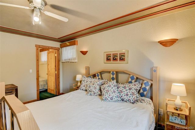 105 Ladigo Lane, Hartsel, CO 80449