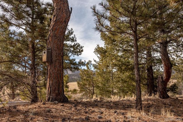 105 Ladigo Lane, Hartsel, CO 80449