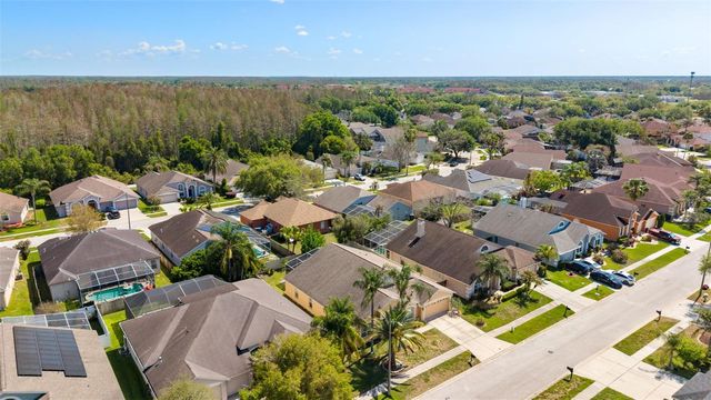 18125 SWEET JASMINE DRIVE, Tampa, FL 33647