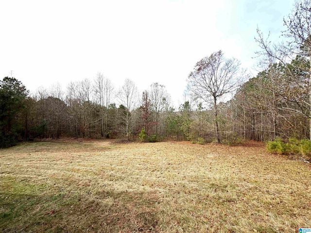 1315 OLD SHEFFIELD GAP ROAD, Attalla, AL 35954