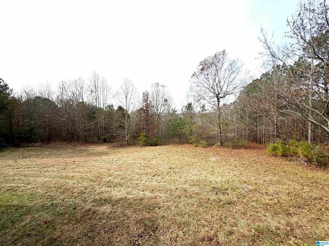 1315 OLD SHEFFIELD GAP ROAD, Attalla, AL 35954