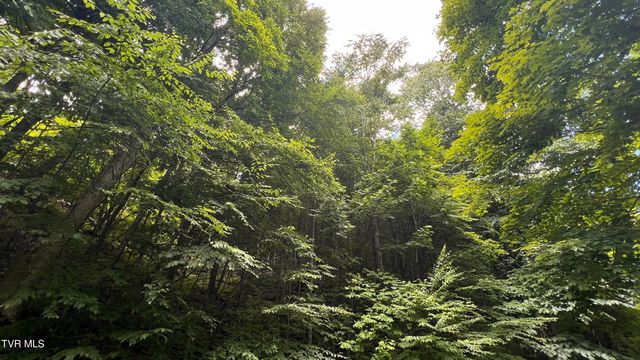 1.66 Ac Eagle Ridge Road 13, Roan Mountain, TN 37687