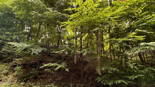 1.66 Ac Eagle Ridge Road 13, Roan Mountain, TN 37687