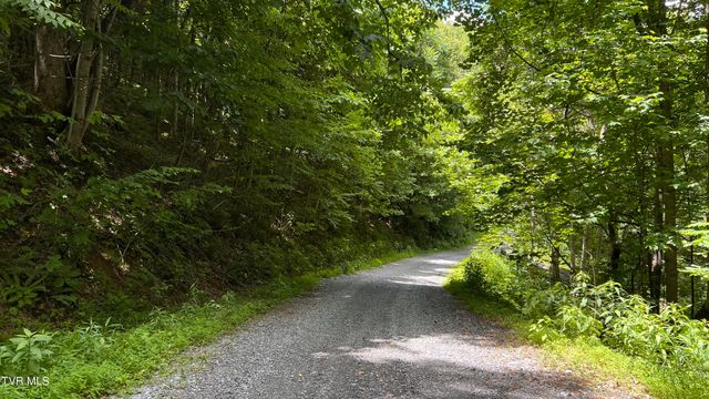 1.66 Ac Eagle Ridge Road 13, Roan Mountain, TN 37687