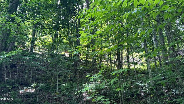1.66 Ac Eagle Ridge Road 13, Roan Mountain, TN 37687
