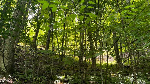 1.66 Ac Eagle Ridge Road 13, Roan Mountain, TN 37687
