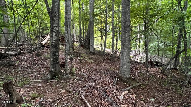 1.66 Ac Eagle Ridge Road 13, Roan Mountain, TN 37687