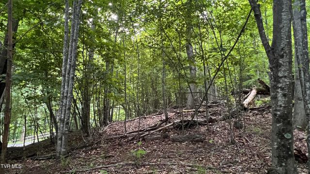 1.66 Ac Eagle Ridge Road 13, Roan Mountain, TN 37687